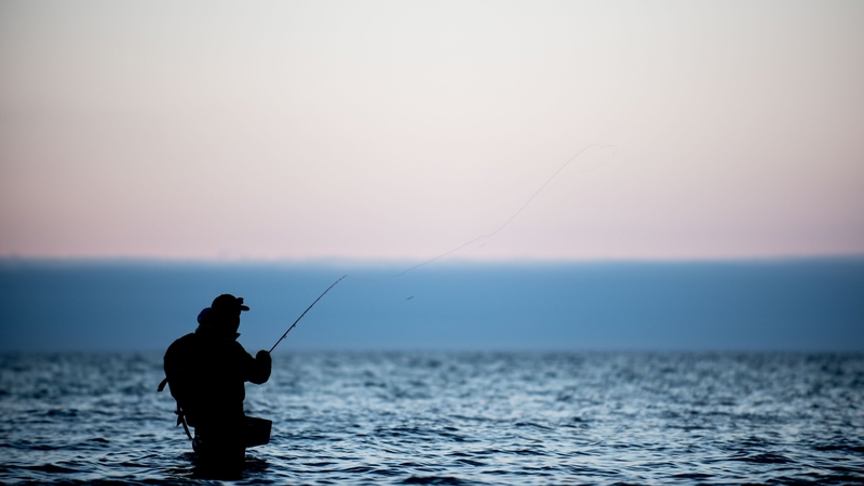 VisitSvendborg - Svendborg Event & Turisme