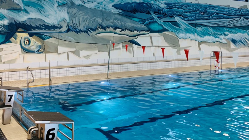 Water & Wellness Randers